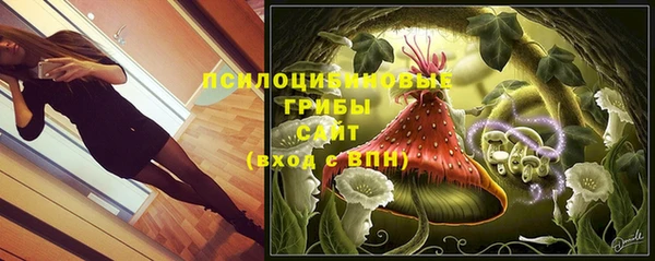 дмт Арсеньев